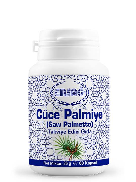 Cüce Palmiye Saw Palmetto