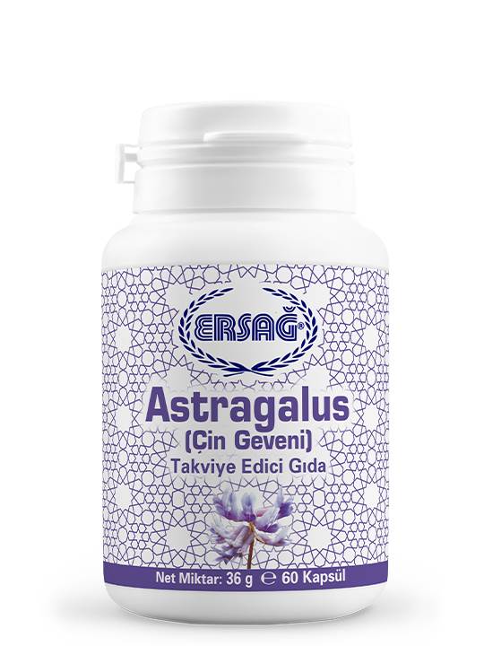 Astragalus (Çin Geveni)
