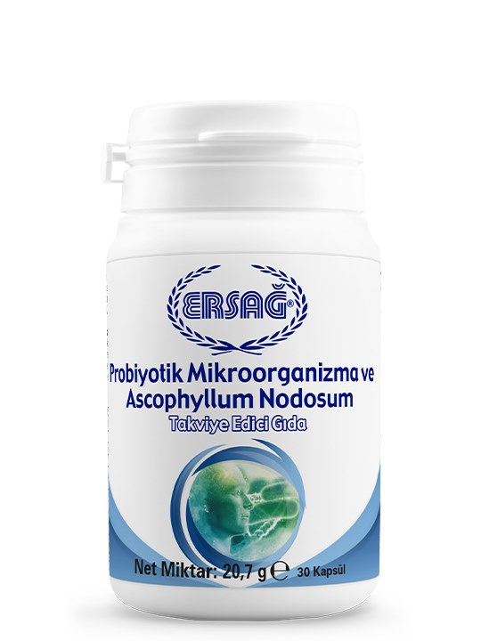 Probiyotik Mikroorganizma Ve Ascophyllum Nodosum