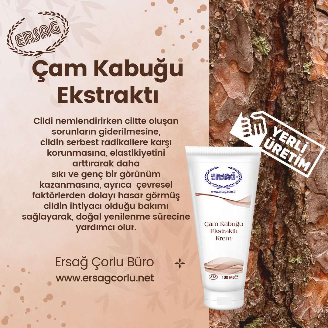 Çam Kabuğu Ekstraktı Nedir? Faydaları Nedir?