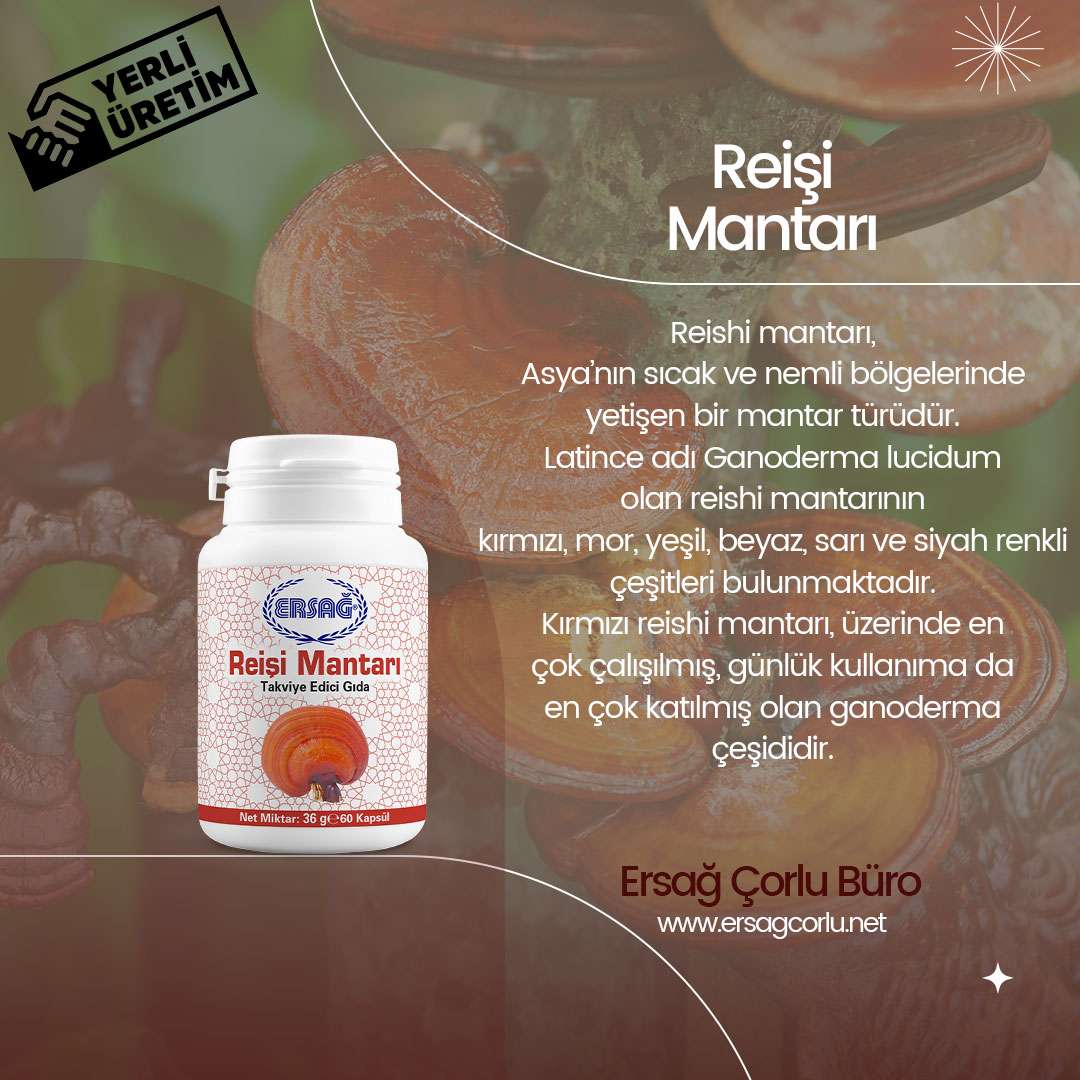 Reişi Mantarı
